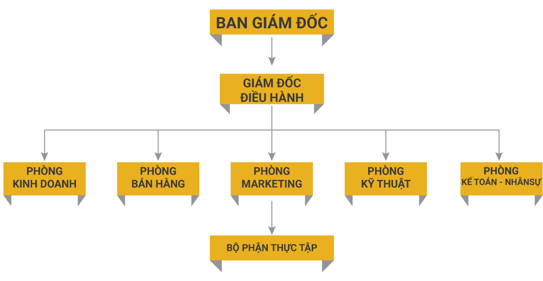 sơ đồ tổ chức Nam Tiến Window